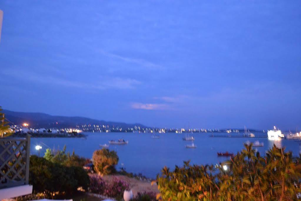 Artemis Hotel 2*