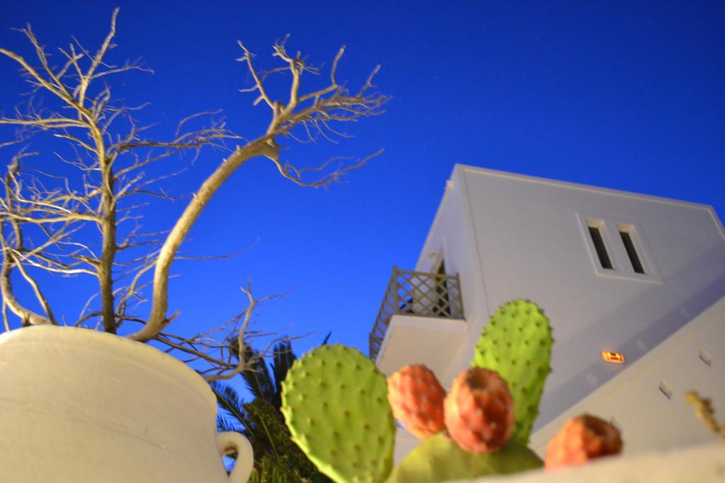 Artemis Hotel Antiparos Città