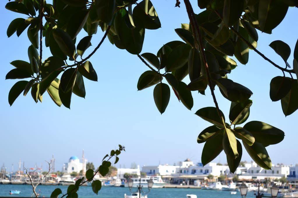 Artemis Hotel Antiparos Town